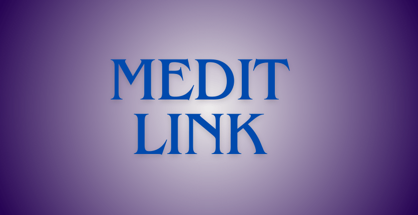 Medit Link